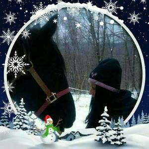 Meet your Posher, Dawn